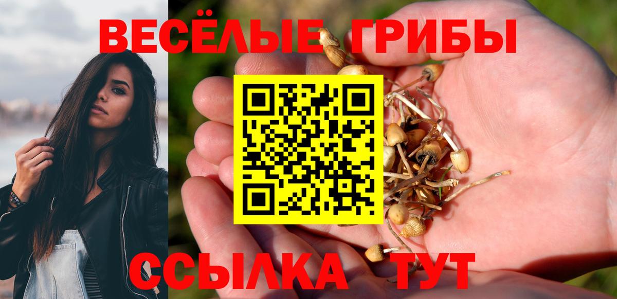 Псилоцибиновые грибы GOLDEN TEACHER  Вход с VPN  Галлюциногенные грибы GOLDEN TEACHER  Кизилюрт 