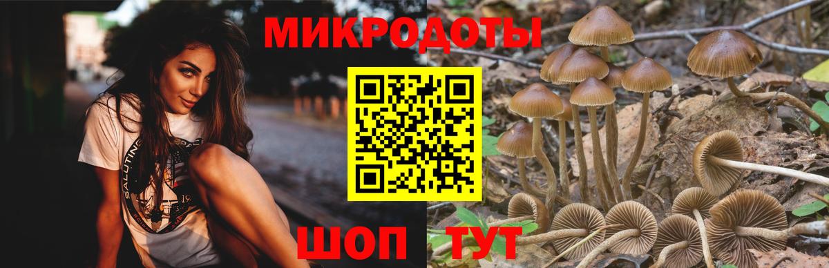 Псилоцибиновые грибы ЛСД Кизилюрт
